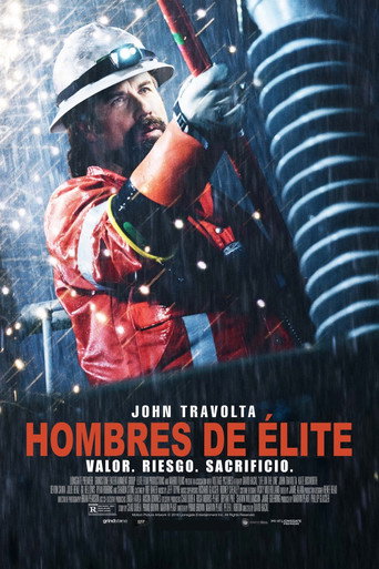 Póster de Viviendo en la linea