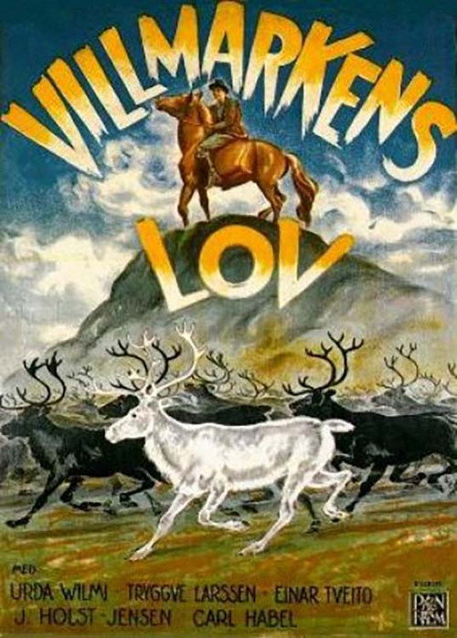 Póster de Villmarkens lov