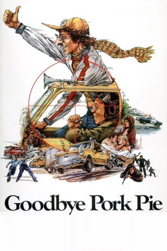 Póster de Goodbye Pork Pie