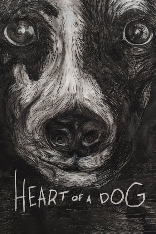 Póster de Heart of a Dog