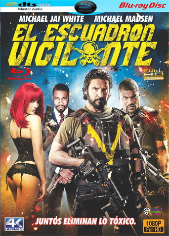 Póster de La venganza de los vigilantes