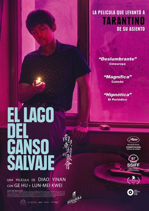 Póster de El lago del ganso salvaje