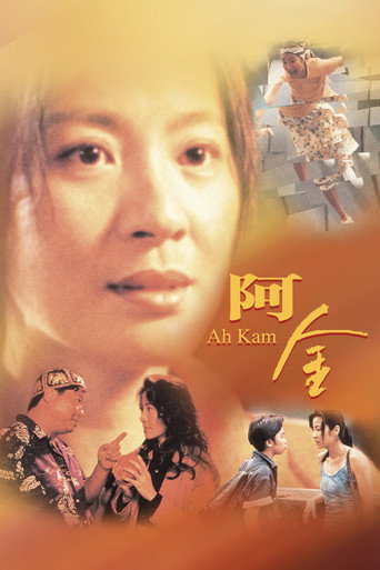 Póster de 阿金
