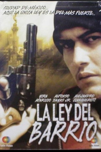 Póster de La ley del barrio