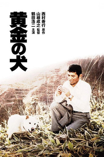 Póster de 黄金の犬