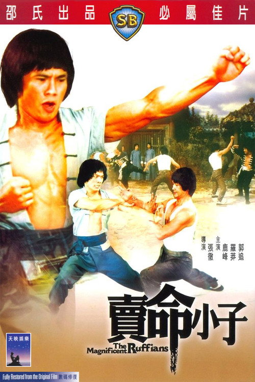 Póster de 賣命小子