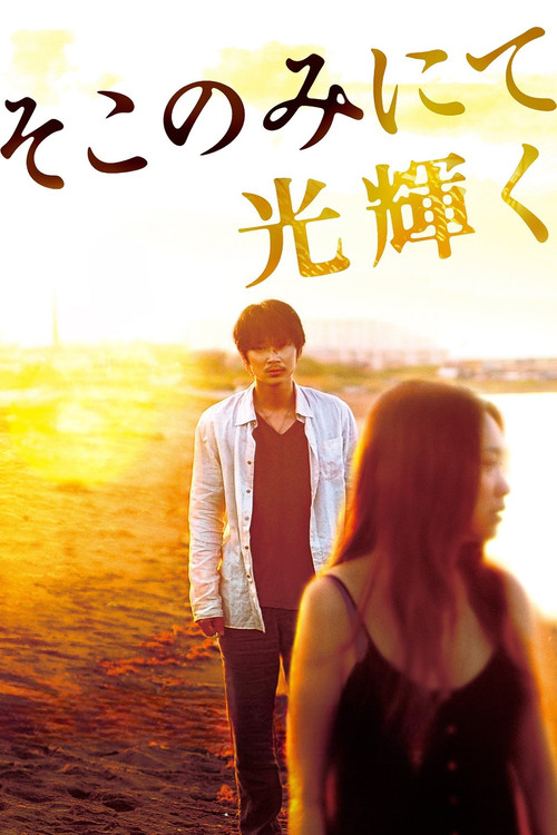 Póster de そこのみにて光輝く