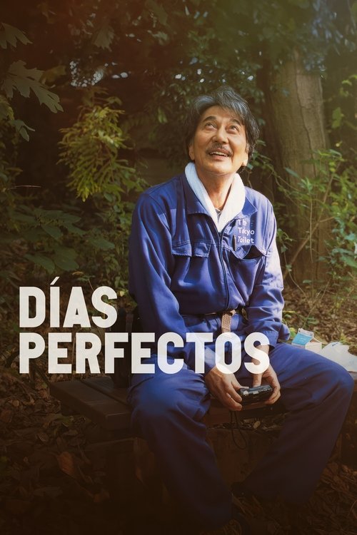 Póster de Días Perfectos