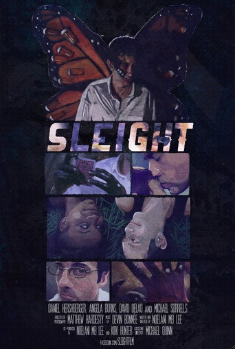 Póster de Sleight