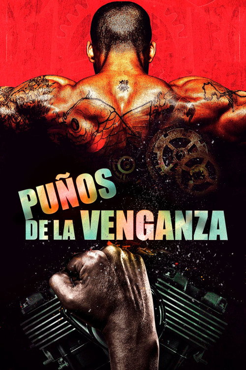 Póster de Puños de la Venganza
