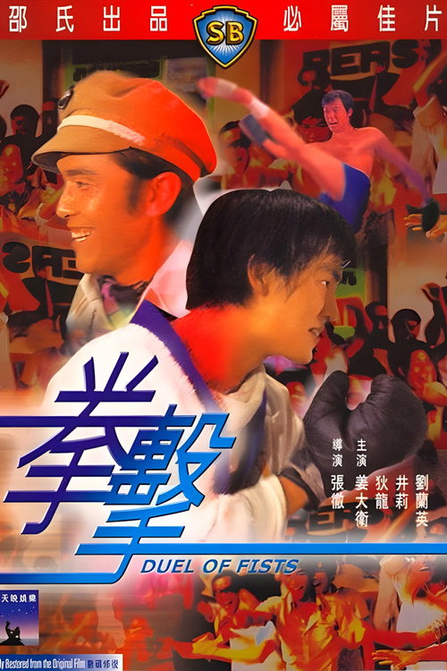 Póster de 拳擊