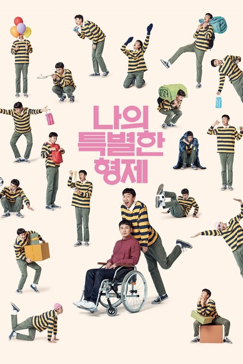 Póster de 나의 특별한 형제