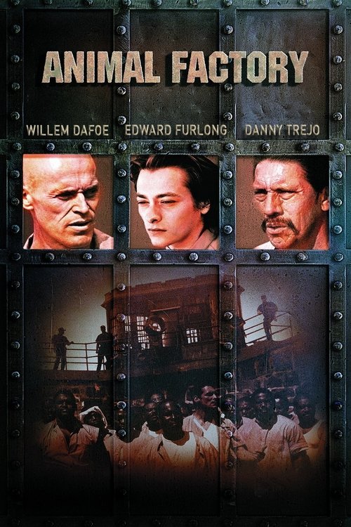 Póster de Fábrica de animales