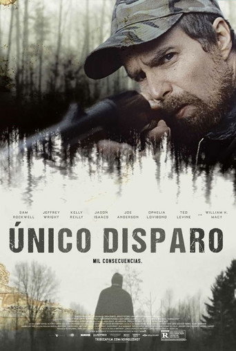 Póster de Al primer disparo