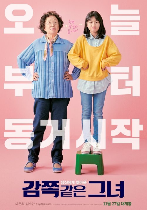Póster de 감쪽같은 그녀