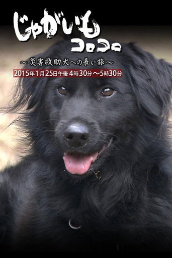 Póster de じゃがいもコロコロ～災害救助犬への長い旅～