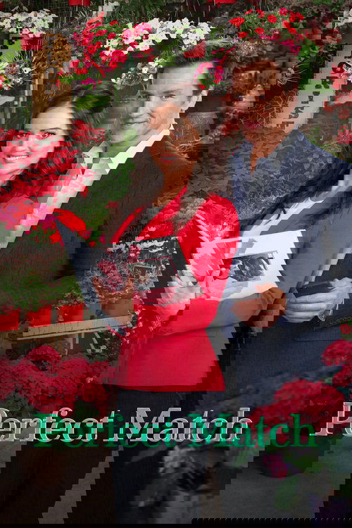 Póster de Perfect Match