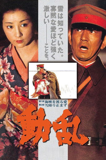 Póster de 動乱