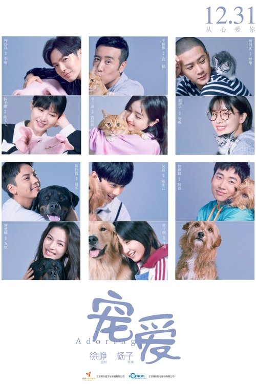 Póster de 宠爱
