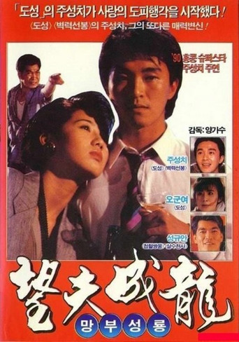 Póster de 望夫成龍