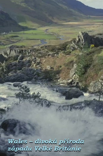 Póster de Wales - Großbritanniens wilder Westen