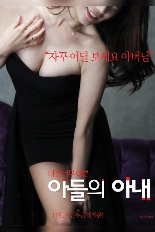 Póster de 아들의 아내