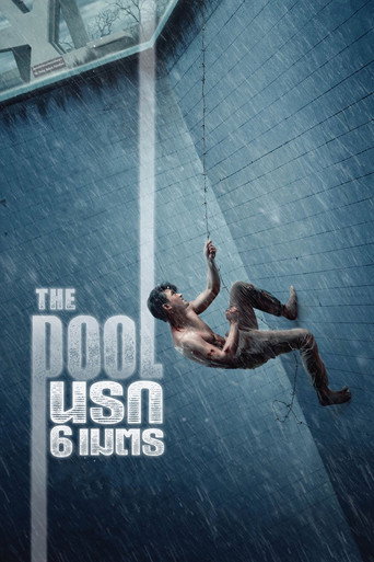 Póster de The Pool