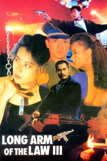 Póster de Long Arm of the Law III