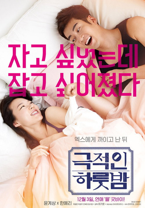 Póster de 극적인 하룻밤