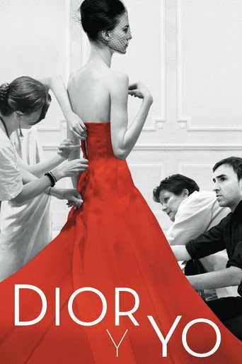 Póster de Dior et moi