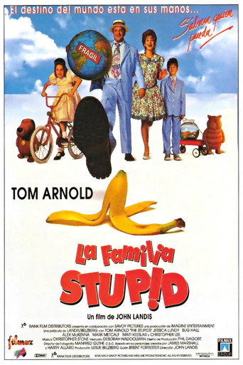 Póster de The Stupids
