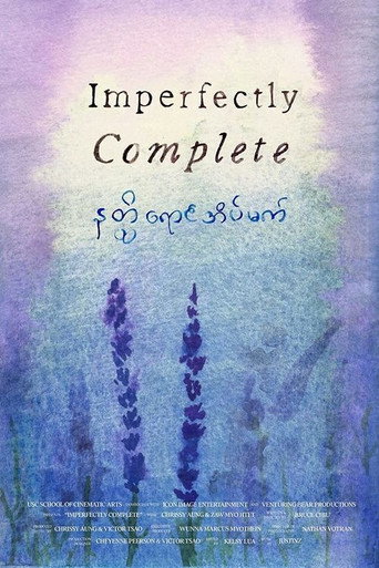 Póster de Imperfectly Complete