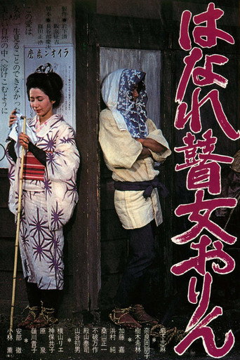 Póster de Ballad of Orin