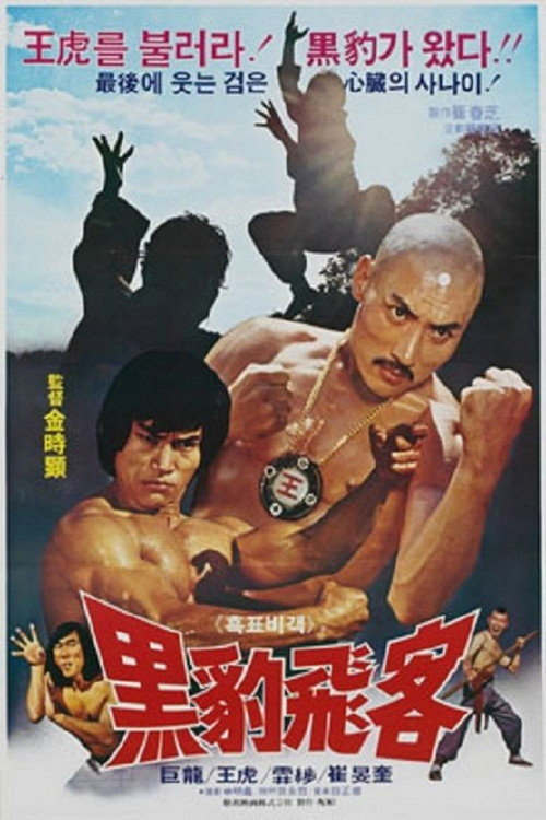 Póster de 흑표비객