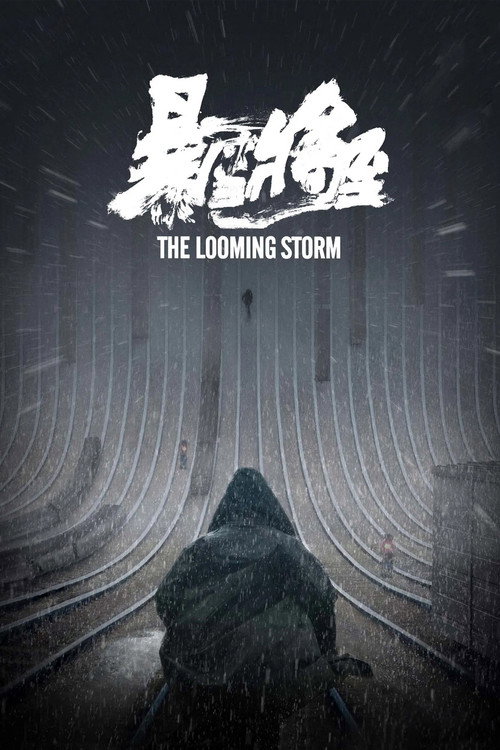 Póster de 暴雪将至
