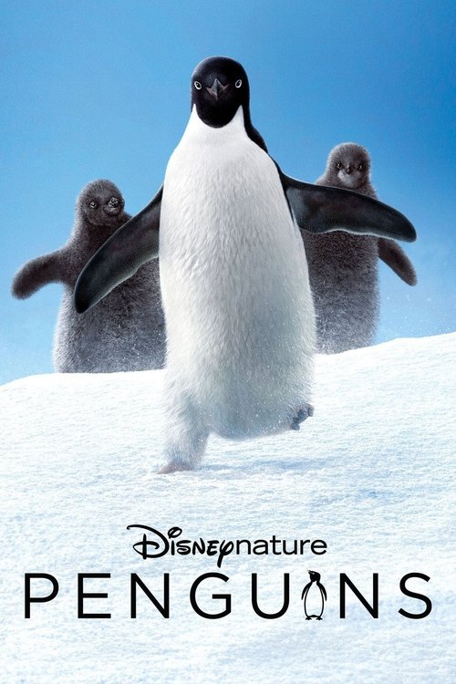 Póster de Los pinguinos