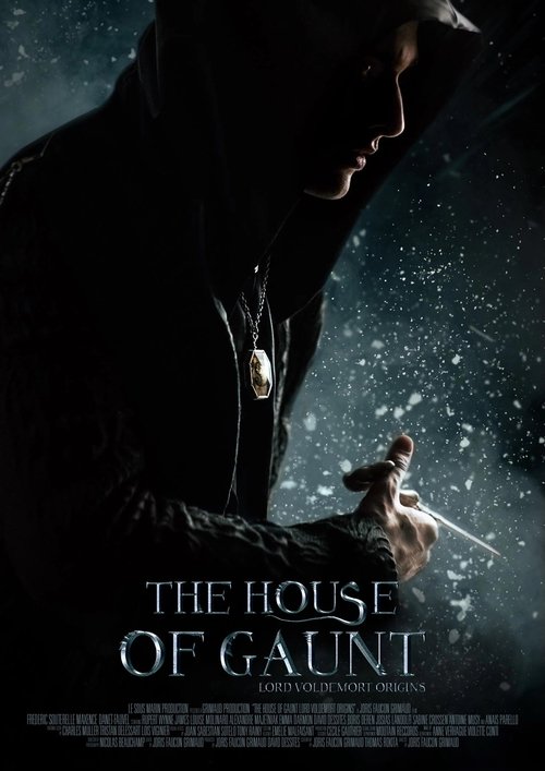 Póster de The House of Gaunt