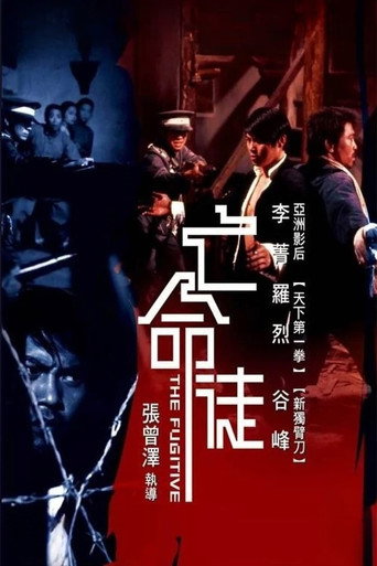 Póster de 亡命徒