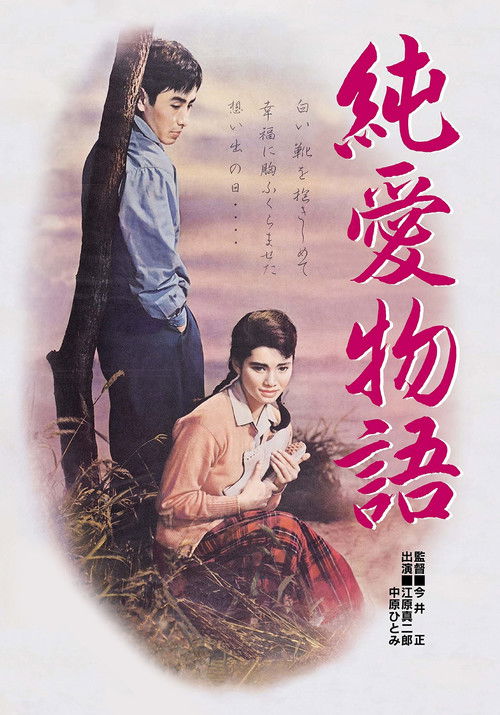 Póster de 純愛物語
