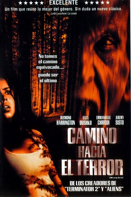 Póster de Camino hacia el terror