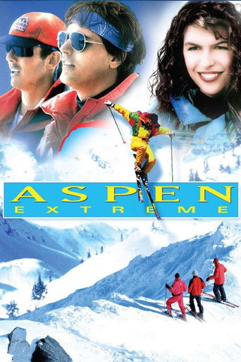 Póster de Aspen Extreme