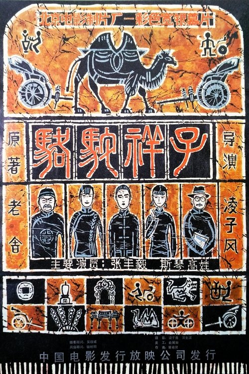 Póster de 骆驼祥子