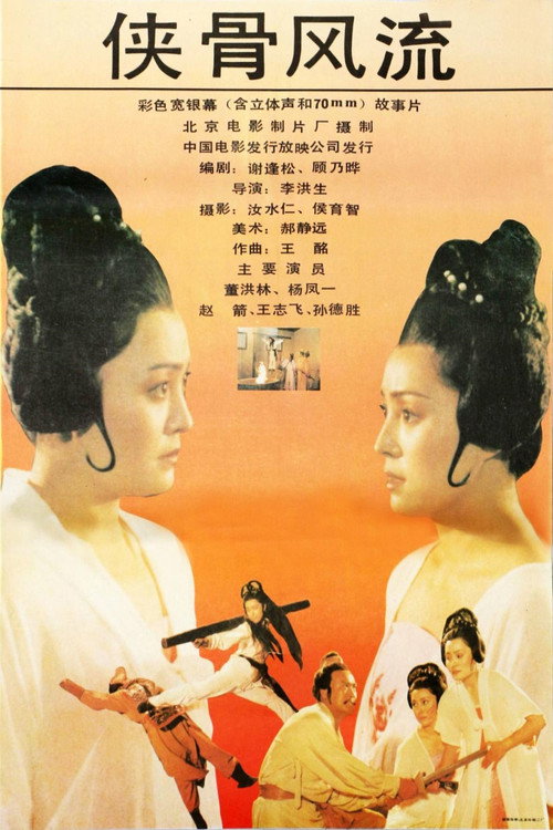 Póster de 侠骨风流