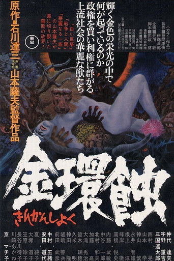Póster de 金環蝕