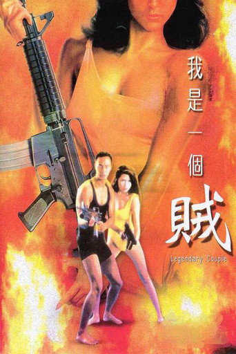 Póster de 我是一個賊