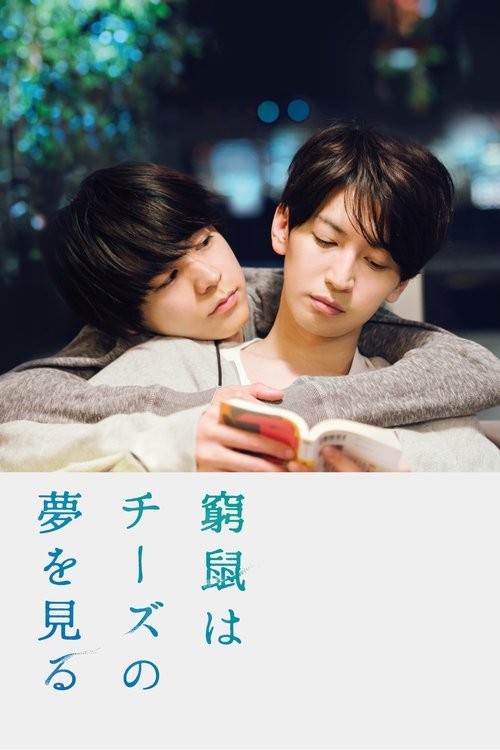 Póster de 窮鼠はチーズの夢を見る