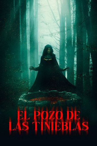 Póster de El Pozo