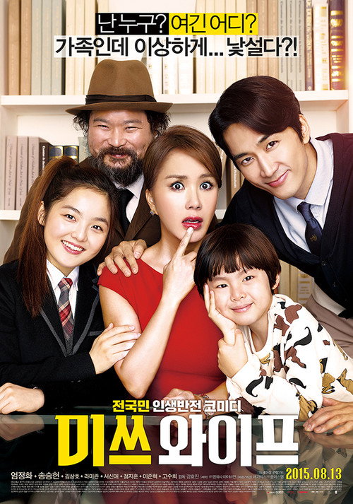 Póster de 미쓰 와이프