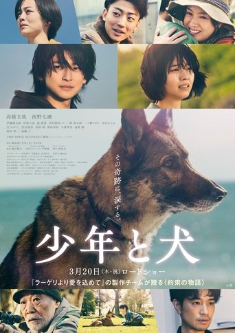 Póster de The Boy and the Dog