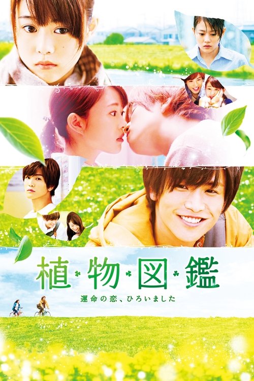 Póster de 植物図鑑 運命の恋、ひろいました